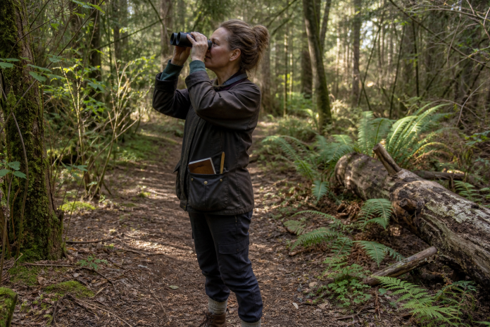 Watching the trees on a woodland path Woman on a woodland path pausing with binoculars raised, a small notebook tucked in her jacket pocket, dappled light through trees